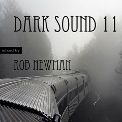 Rob Newman - Dark Sound 11 (2016.10.03.)