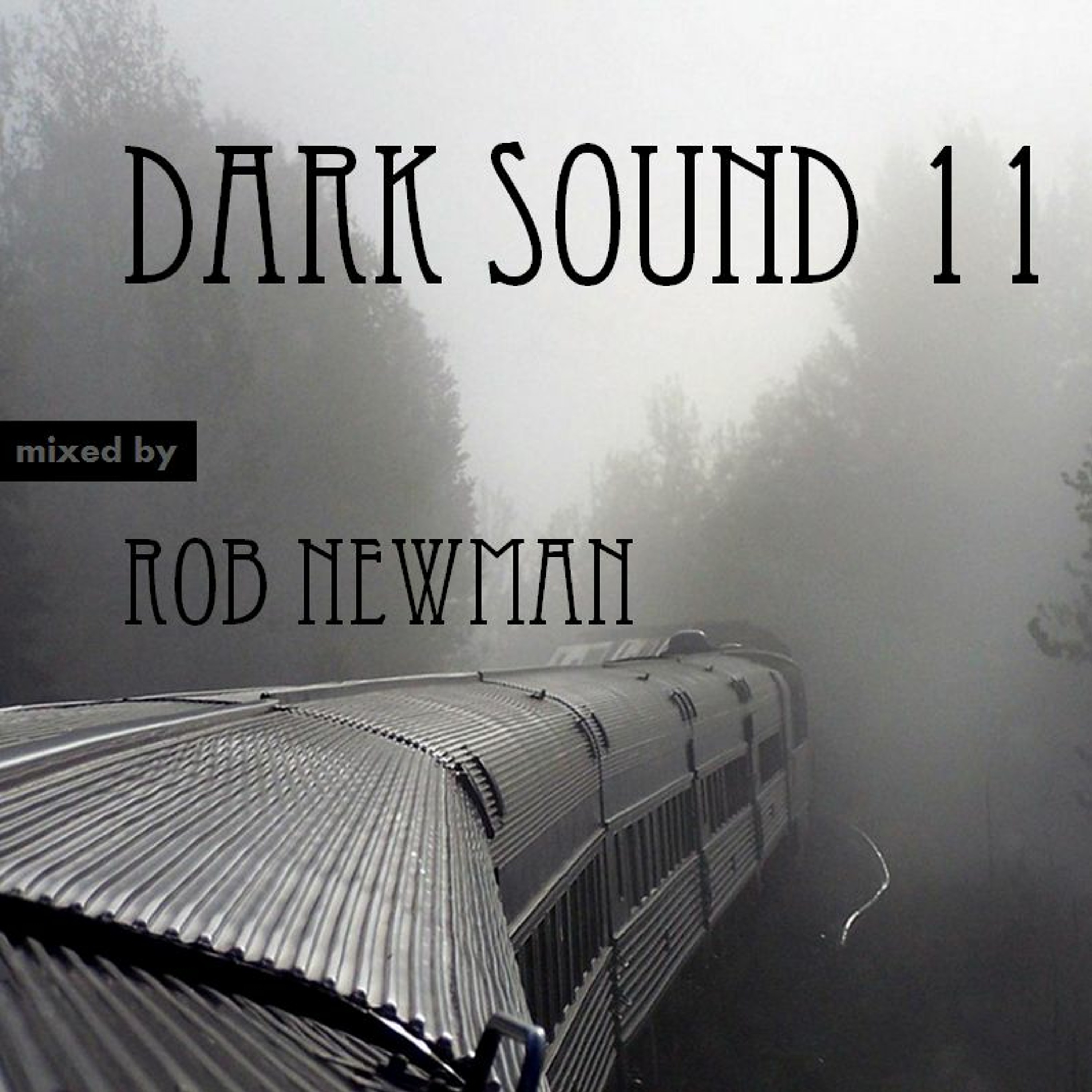 Rob Newman
