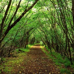 Country Roads (original reggae version)