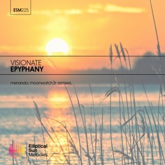Visionate - Epiphany (Moonwatch3r Summer Remix)