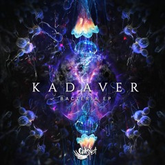 Kadaver - Soulless Machine [Out now on Crowsnest]