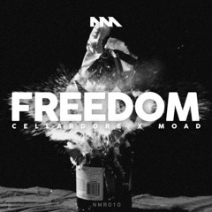 Cellardore X MOAD - Freedom (Adam Hyjek Unofficial Remix) FREE DOWNLOAD