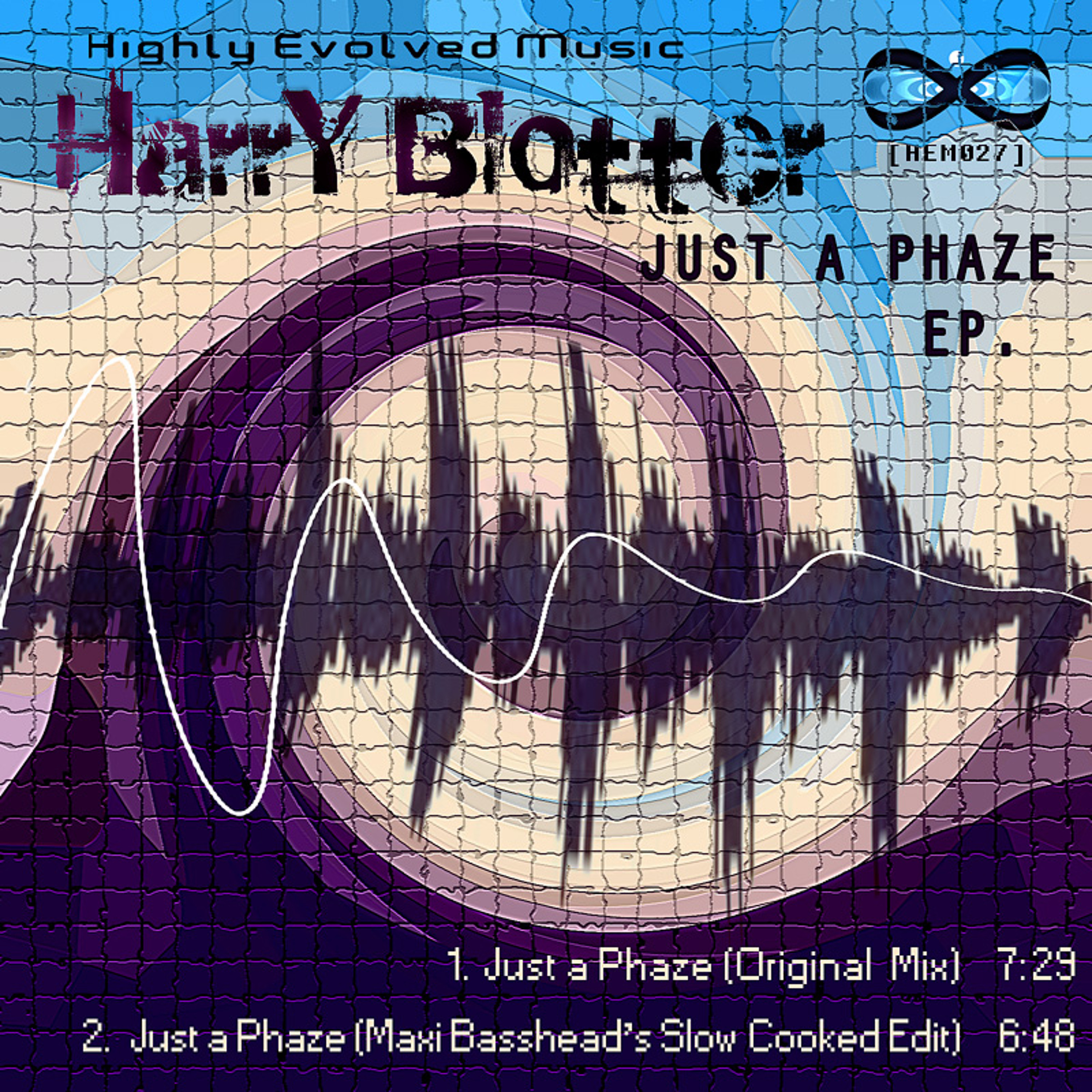 The Mind Bending Music of Harry Blotter