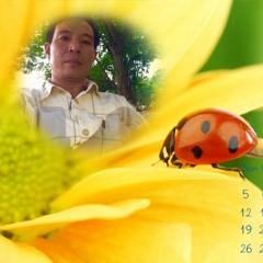 Mot Ngay Khong Co Anh - Ngoc Lan Duy Quang