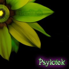 Playlist - Tribe