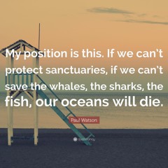100DAYPROJECT - TRACK07 - #SAVE THE ANIMALS
