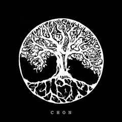 C H O N : Senking, Retina.it, PixFoil, Plaster