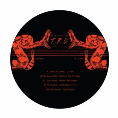 B1 Tom Strong - Martian Time Slipper