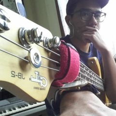 Lush Life - Zara Larsson (cover)