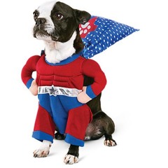 It's come to this....... welcome to the United States of Offended!