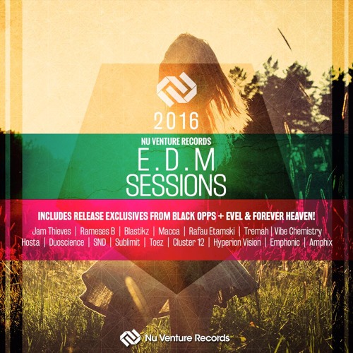 Nu Venture Records EDM Sessions: 2016 [NVR033: OUT NOW! 39 Tracks ONLY £6.45!]