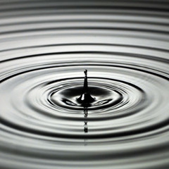 Nilo Braga - Latelat