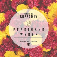 Buzzzmix Vol. 34 - Ferdinand Weber