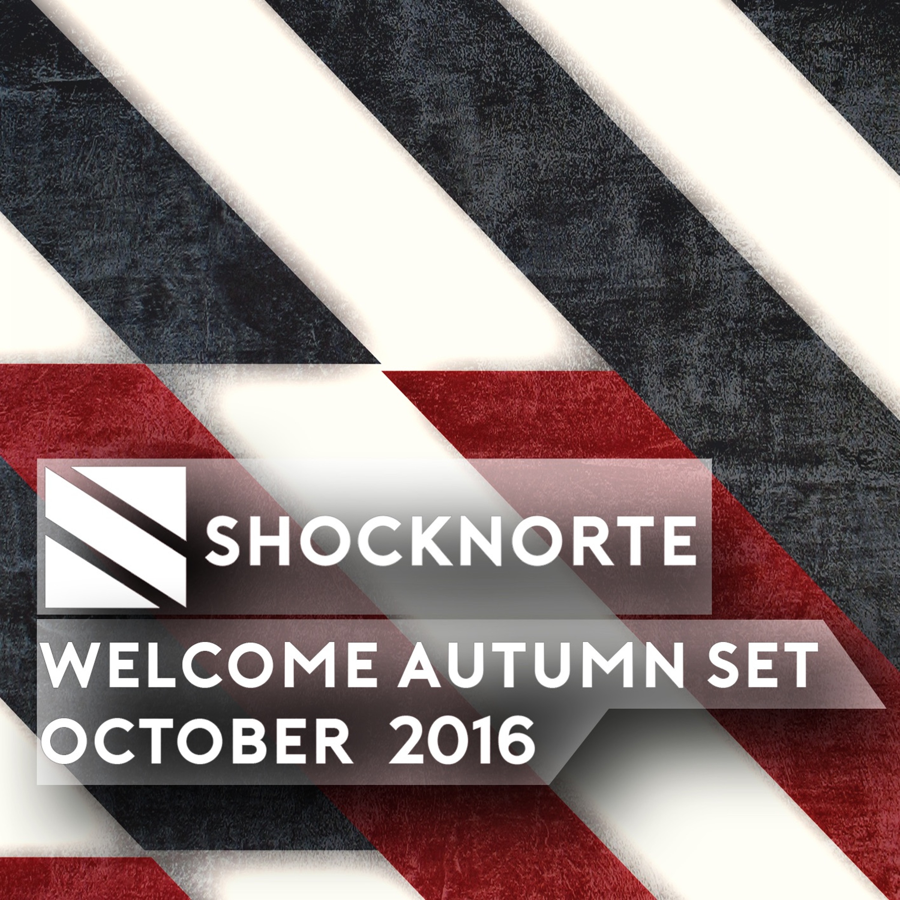 Shocknorte