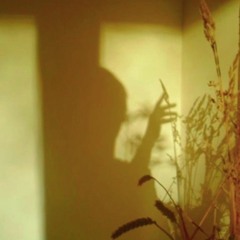 Shiva shambo