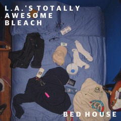 L.A.'s Totally Awesome Bleach
