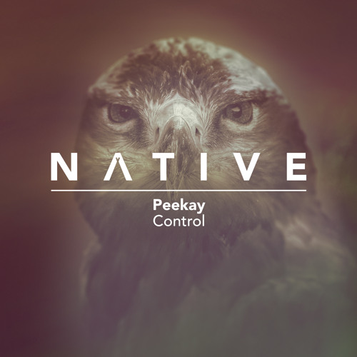 Ok, Yeah! (Original Mix)