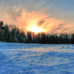 Winter Sunrise