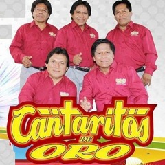 Mix Cumbia Peruana  -   Cantaritos de Oro (  2016)