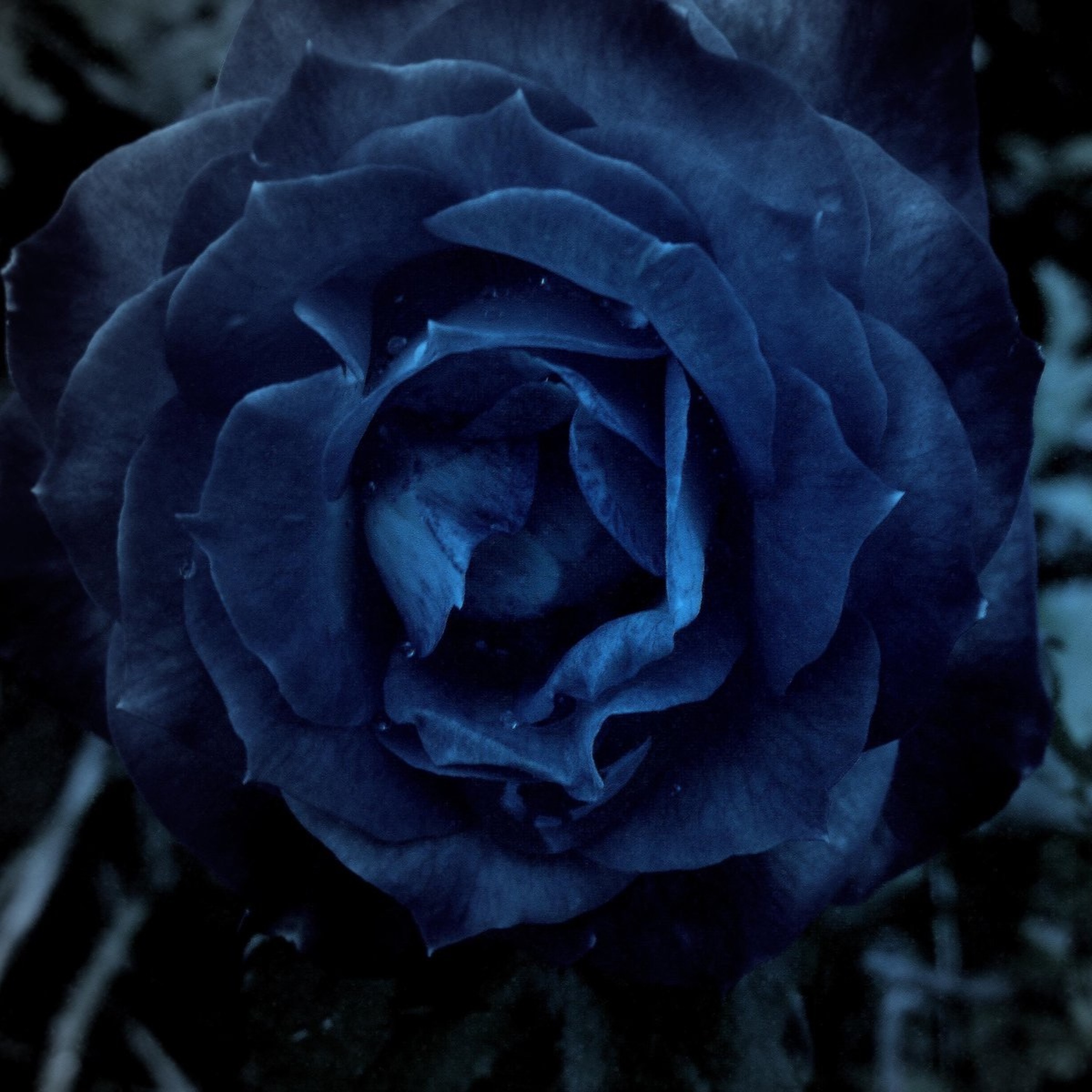 dark blue. episode artwork