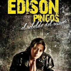 Edison Pingos ft Draguetto Mix - Amor Imposible _ Edicion Limitada en Remixes