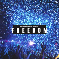 Freedom (feat. JoyLeBoy) (Luis Vazquez Remix)