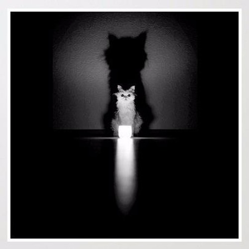 0₦E RE₱UBLlC vs. Z₳YN (₩herever l ₩ould Go) - Mashup