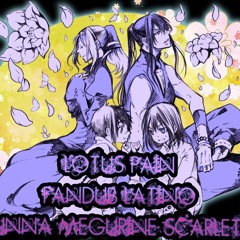 Lotus Pain Fandub Latino (Tv Size)
