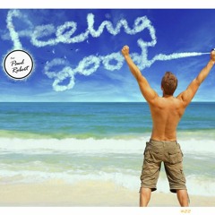 Feeling Good - BLH ft. Paul Robert (Bangin' Mash Remix)