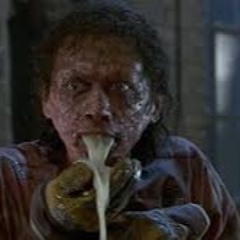 Flies on The ceiling