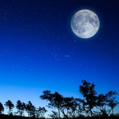 Liquid SunRise - Good Night