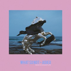 What So Not - Adieu (Dead As Disco Flip)[FREE DOWNLOAD]