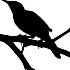 Eminem - Mockingbird (piano version)