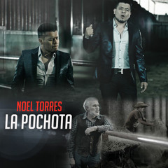 La Pochota - Noel Torres 2016