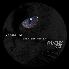 Vandal M - Midnight Run (Original Ambient Mix) [Paunchy Cats Records, Brazil]