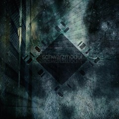 Download: schwarzmodul - Subraze (Robot Koch remix)