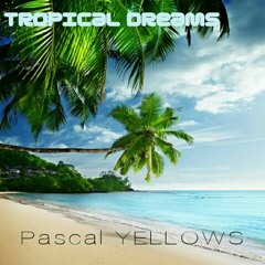 Never Give Up (Album Tropical Dreams)