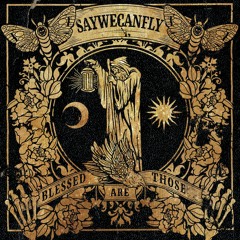 SayWeCanFly - The Space Between Our Eyes
