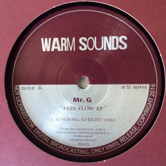 Warm Sounds 013 / Mr G - Free Flow EP