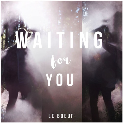 Le Boeuf - Waiting For You