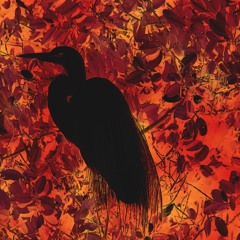 001 - Burnout (prod. Kavi)