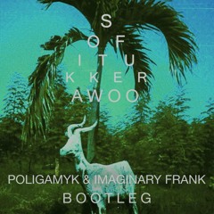 Awoo -(Poligamyk & Imaginary Frank Bootleg)