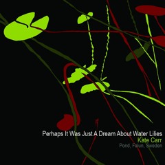 Perhaps It Was Just A Dream About Water Lilies  - Kate Carr - Tiny Portraits
