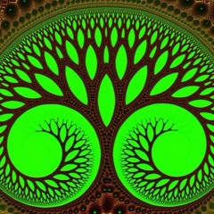 ℱ☯ℛƐƧƬ | Selected Forest Psytrance