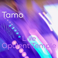 Tamo RIPEcast Live at Opulent Temple Burning Man