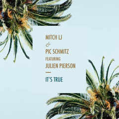 Mitch LJ & Pic Schmitz feat. Julien Pierson - It's True