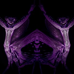Transcommunication.i