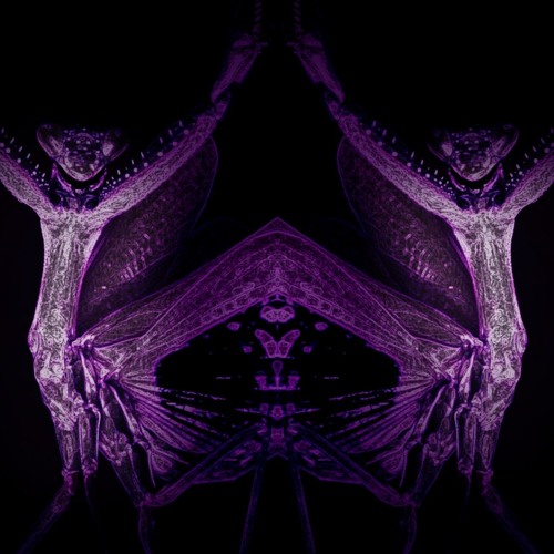 Transcommunication.i
