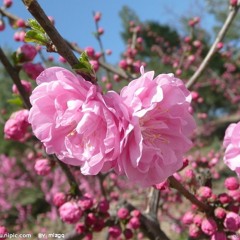 reflections on the beautiful name of Allah ATayeb - Rawya Abd EL-Aziz