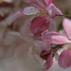 DGGZ - I Don't Care [free d/L]